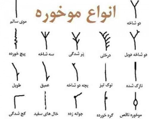 درمان موخوره