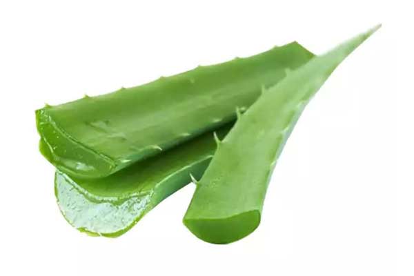 ژل آلوئه ورا